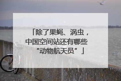 除了果蝇、涡虫，中国空间站还有哪些“动物航天员”