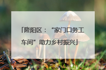 隆阳区：“家门口务工车间”助力乡村振兴
