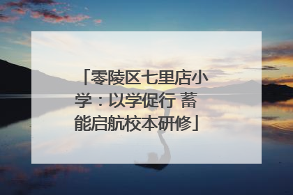 零陵区七里店小学：以学促行 蓄能启航校本研修