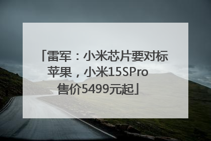 雷军：小米芯片要对标苹果，小米15SPro售价5499元起