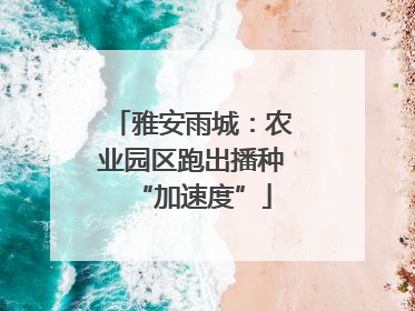 雅安雨城：农业园区跑出播种“加速度”
