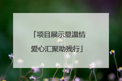 项目展示显温情 爱心汇聚助残行
