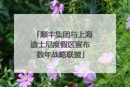 顺丰集团与上海迪士尼度假区宣布数年战略联盟