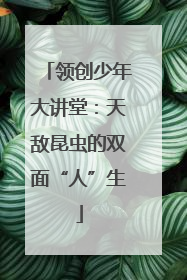 领创少年大讲堂：天敌昆虫的双面“人”生