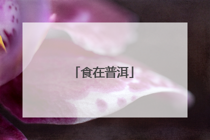 食在普洱