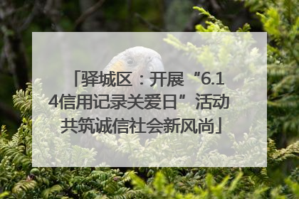 驿城区：开展“6.14信用记录关爱日”活动 共筑诚信社会新风尚