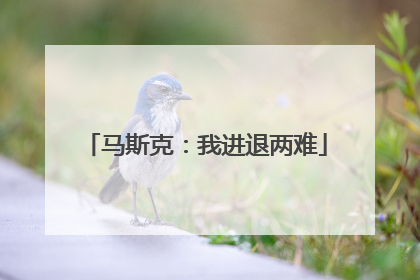 马斯克：我进退两难