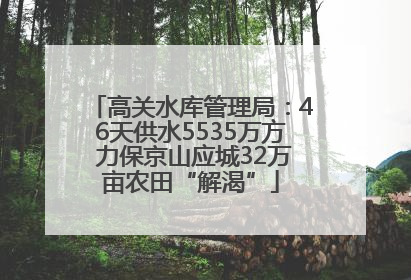 高关水库管理局：46天供水5535万方 力保京山应城32万亩农田“解渴”