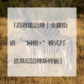 高效能治理｜金耀街道：“网格+”模式打造基层治理新样板