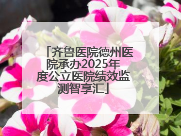 齐鲁医院德州医院承办2025年度公立医院绩效监测智享汇