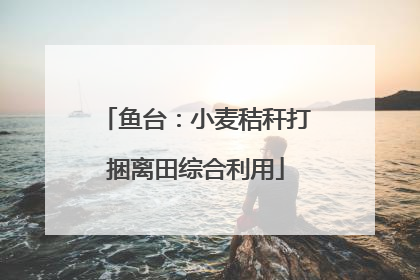 鱼台：小麦秸秆打捆离田综合利用