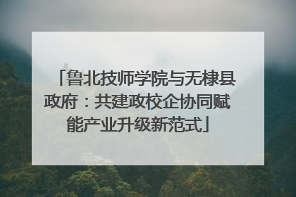 鲁北技师学院与无棣县政府：共建政校企协同赋能产业升级新范式