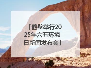 鹤壁举行2025年六五环境日新闻发布会
