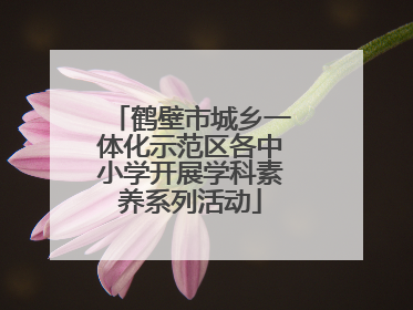 鹤壁市城乡一体化示范区各中小学开展学科素养系列活动