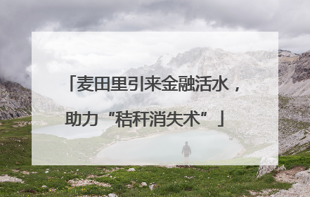 麦田里引来金融活水，助力“秸秆消失术”