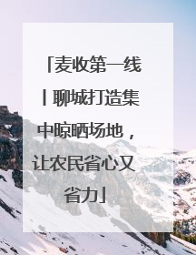 麦收第一线丨聊城打造集中晾晒场地，让农民省心又省力