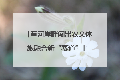 黄河岸畔闯出农文体旅融合新“赛道”