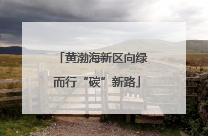 黄渤海新区向绿而行“碳”新路