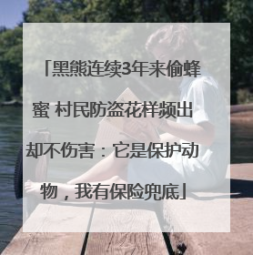 黑熊连续3年来偷蜂蜜 村民防盗花样频出却不伤害：它是保护动物，我有保险兜底