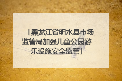 黑龙江省明水县市场监管局加强儿童公园游乐设施安全监管