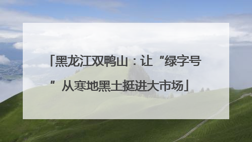黑龙江双鸭山：让“绿字号”从寒地黑土挺进大市场