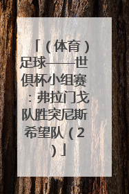 （体育）足球——世俱杯小组赛：弗拉门戈队胜突尼斯希望队（2）