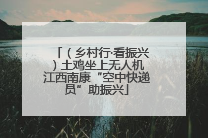 （乡村行·看振兴）土鸡坐上无人机 江西南康“空中快递员”助振兴
