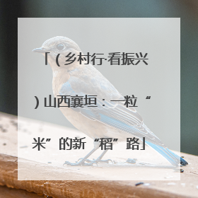 （乡村行·看振兴）山西襄垣：一粒“米”的新“稻”路