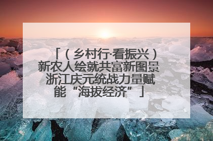（乡村行·看振兴）新农人绘就共富新图景 浙江庆元统战力量赋能“海拔经济”