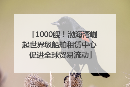 1000艘！渤海湾崛起世界级船舶租赁中心 促进全球贸易流动