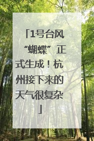 1号台风“蝴蝶”正式生成！杭州接下来的天气很复杂