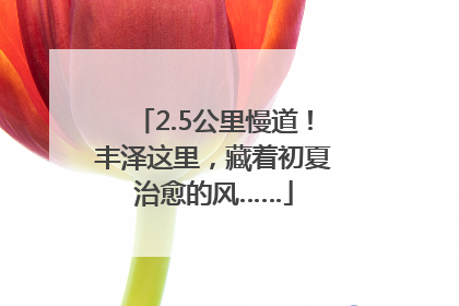2.5公里慢道！丰泽这里，藏着初夏治愈的风……