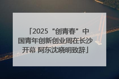 2025“创青春”中国青年创新创业周在长沙开幕 阿东沈晓明致辞