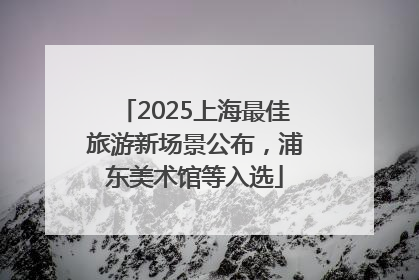 2025上海最佳旅游新场景公布，浦东美术馆等入选