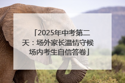 2025年中考第二天：场外家长温情守候 场内考生自信答卷