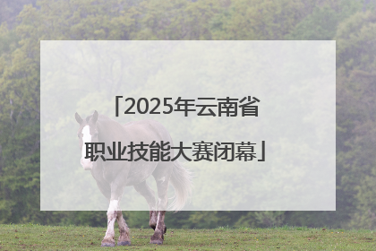 2025年云南省职业技能大赛闭幕