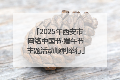 2025年西安市网络中国节·端午节主题活动顺利举行