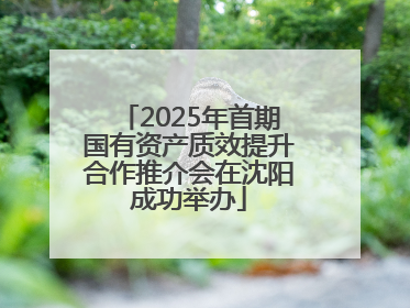 2025年首期国有资产质效提升合作推介会在沈阳成功举办