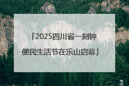 2025四川省一刻钟便民生活节在乐山启幕
