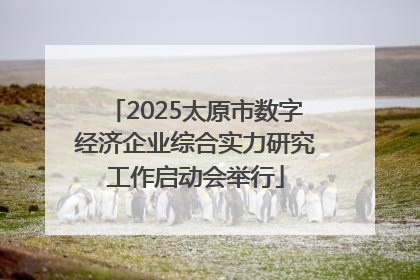 2025太原市数字经济企业综合实力研究工作启动会举行