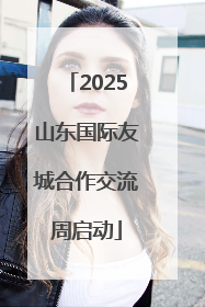 2025山东国际友城合作交流周启动