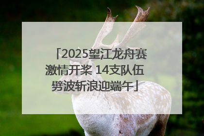 2025望江龙舟赛激情开桨 14支队伍劈波斩浪迎端午