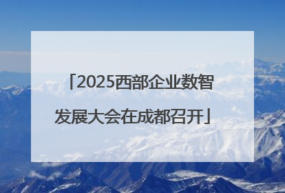 2025西部企业数智发展大会在成都召开
