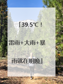 39.5℃！雷雨+大雨+暴雨就在明晚