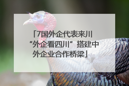 7国外企代表来川 “外企看四川”搭建中外企业合作桥梁
