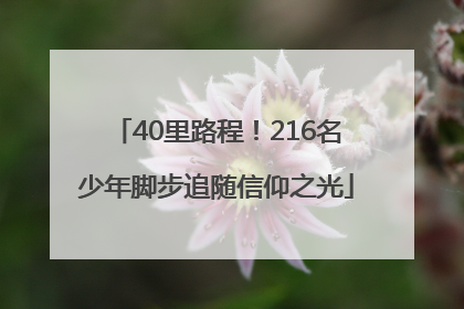 40里路程！216名少年脚步追随信仰之光