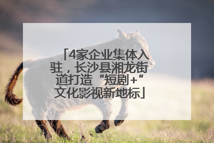 4家企业集体入驻，长沙县湘龙街道打造“短剧+”文化影视新地标