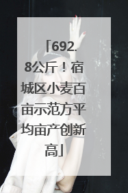 692.8公斤！宿城区小麦百亩示范方平均亩产创新高