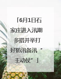 6月1日石家庄进入汛期 多措并举打好防汛备汛“主动仗”