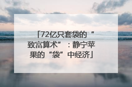 72亿只套袋的“致富算术”：静宁苹果的“袋”中经济